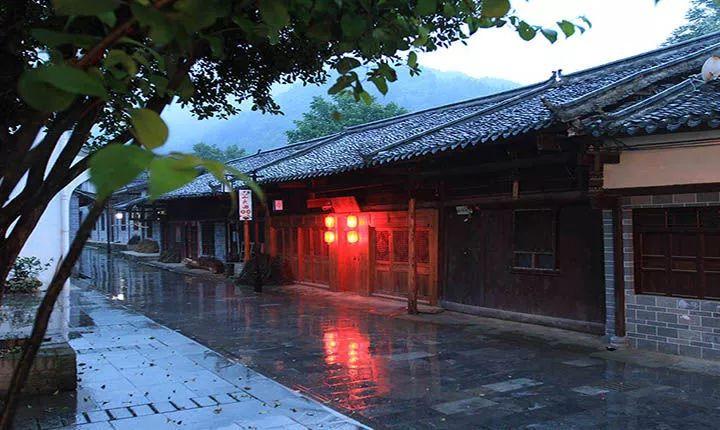 蜂王救援